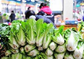 遼寧全面推行食用農(nóng)產(chǎn)品批發(fā)市場進(jìn)貨批批檢驗制度